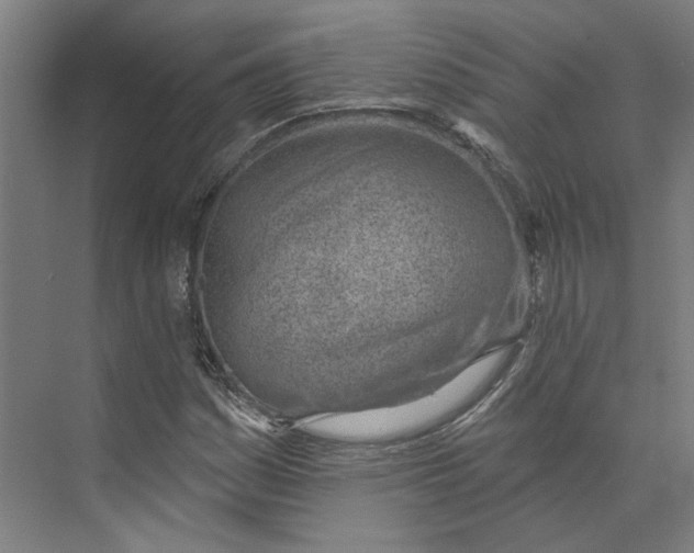 X0000073951161200609111643