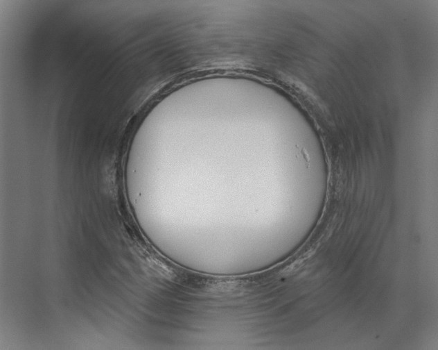 X0000073951162200609111643