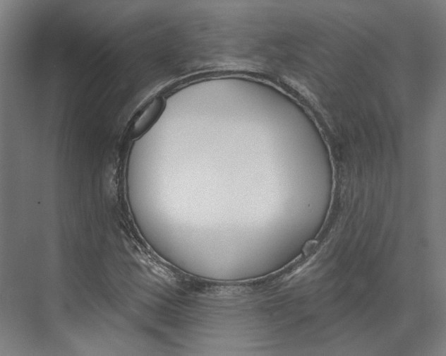 X0000073951163200609111643