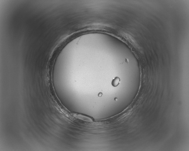 X0000073951164200609111642