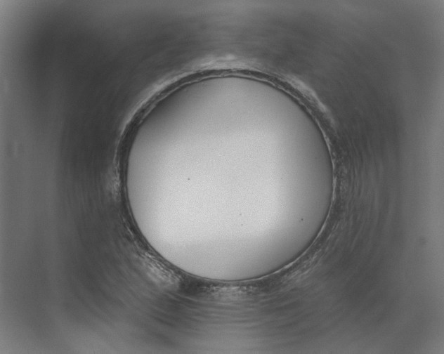 X0000073951167200609111642