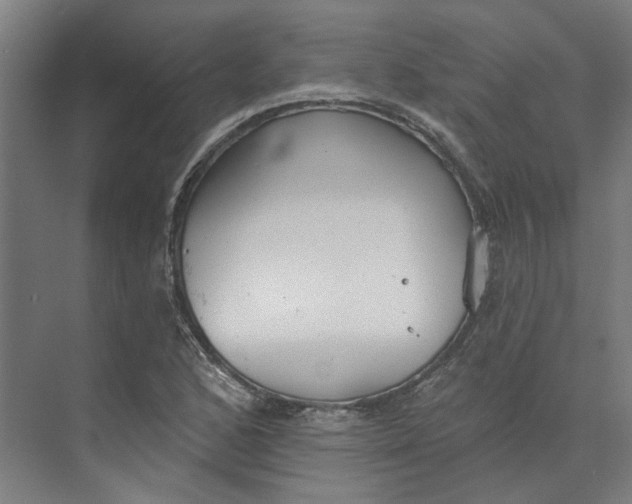 X0000073951168200609111642