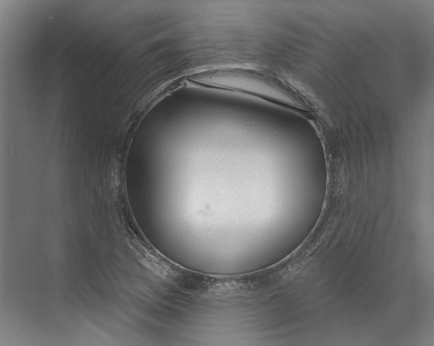 X0000073951169200609111642