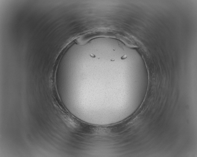 X0000073951170200609111642