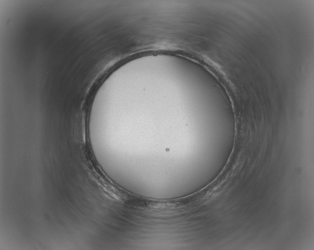 X0000073951171200609111642