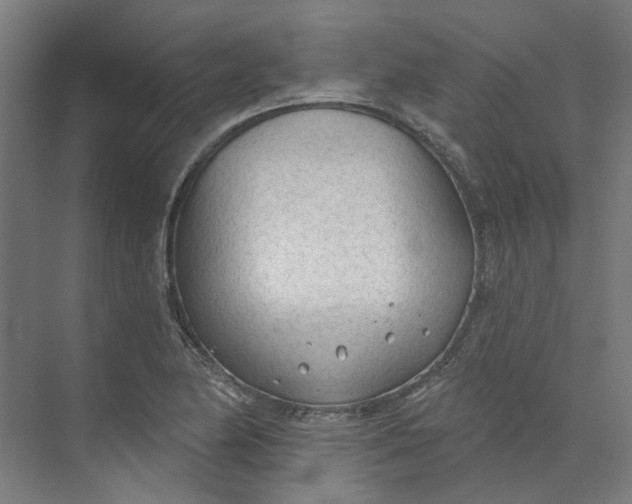 X0000073951174200609111642