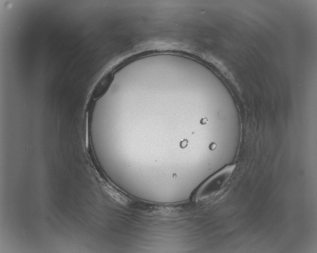 X0000073951175200609111642