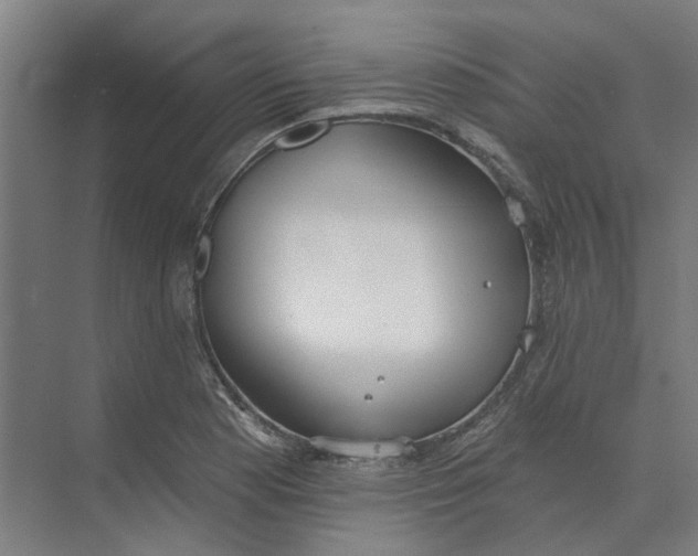 X0000073951177200609111642