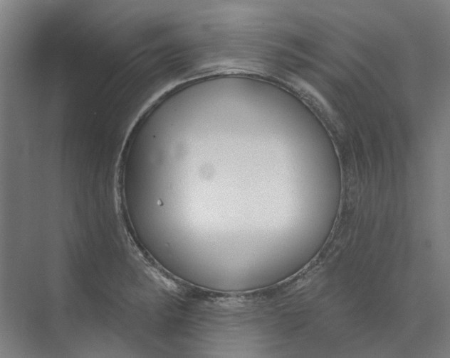 X0000073951182200609111642