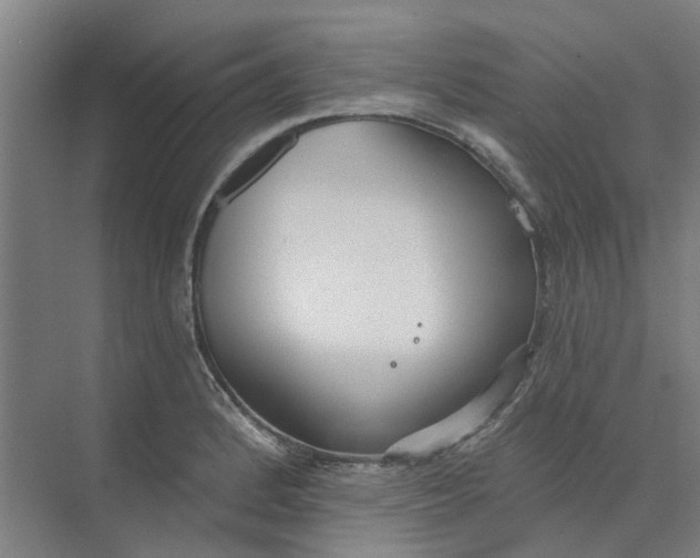 X0000073951184200609111642