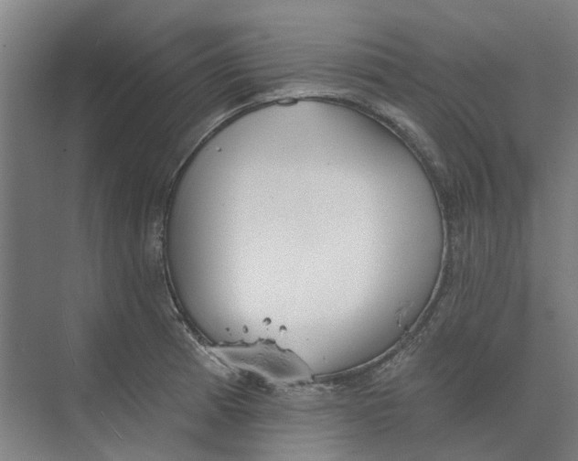 X0000073951185200609111642