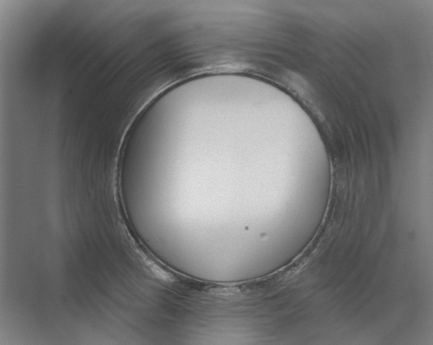 X0000073951186200609111642