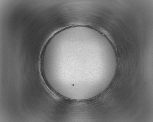 X0000073951187200609111642