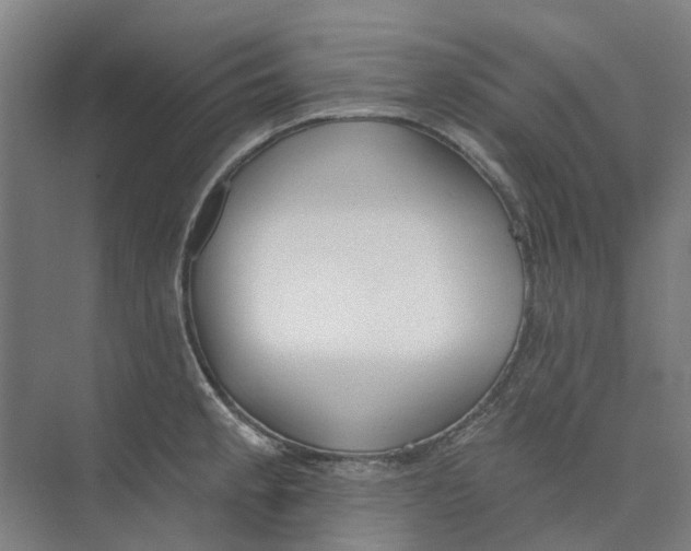 X0000073951189200609111642