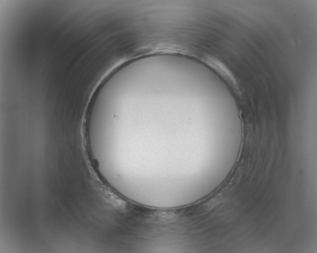 X0000073951190200609111642