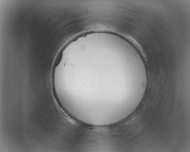 X0000073951191200609111642