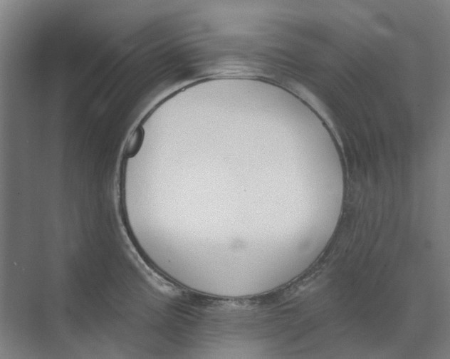 X0000073951195200609111642