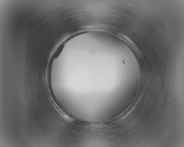 X0000073951196200609111642