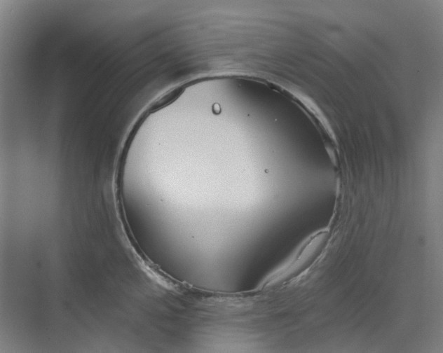 X0000073951197200609111642