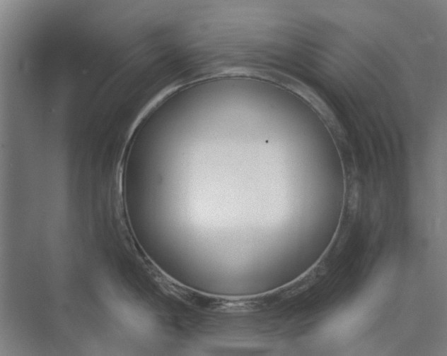 X0000073951198200609111642