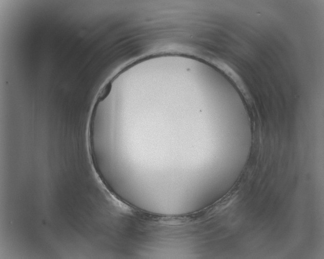 X0000073951199200609111642