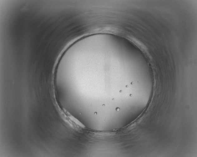 X0000073951200200609111642