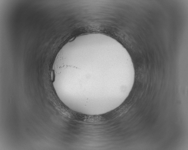 X0000073951201200609111641