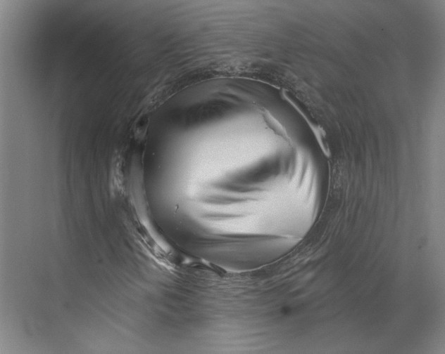 X0000073951202200609111641