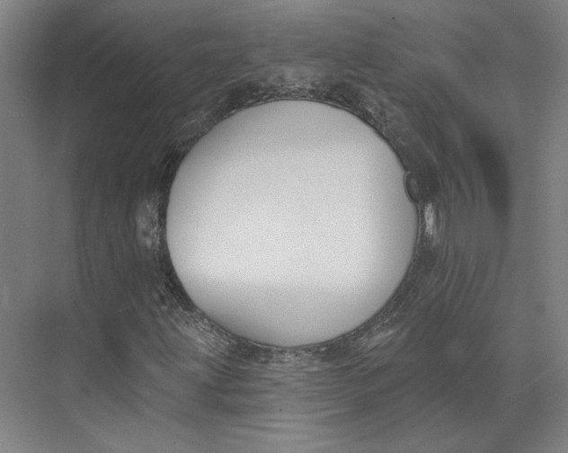 X0000073951203200609111641