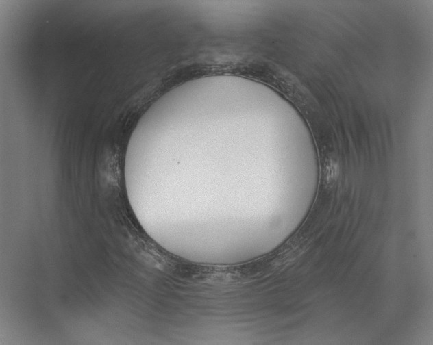 X0000073951204200609111641