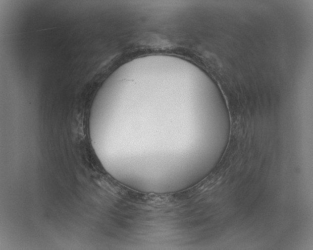 X0000073951205200609111641