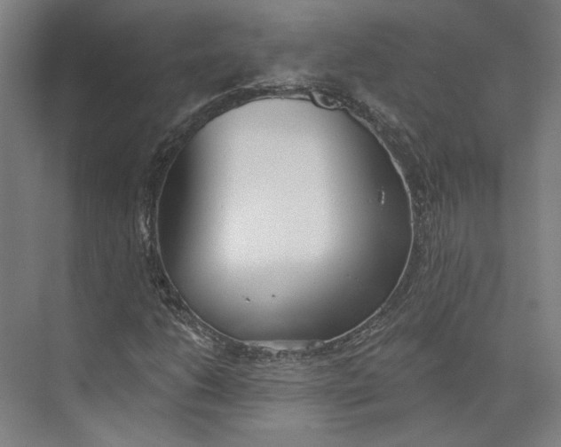 X0000073951206200609111641