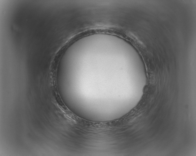 X0000073951208200609111641