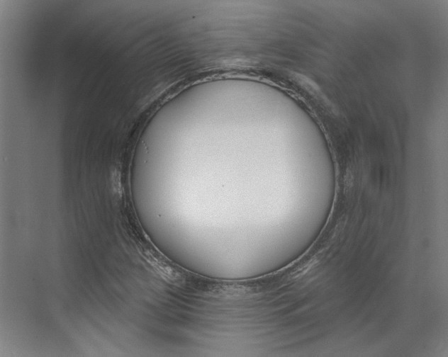 X0000073951209200609111641