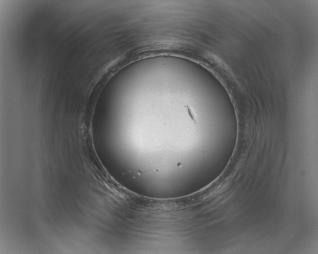 X0000073951210200609111641