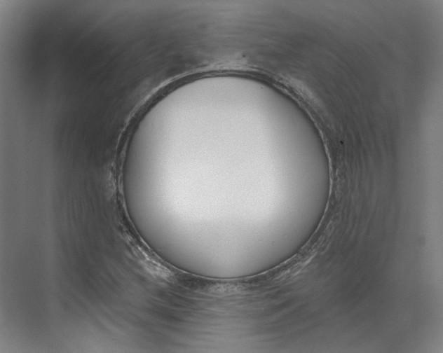 X0000073951212200609111641