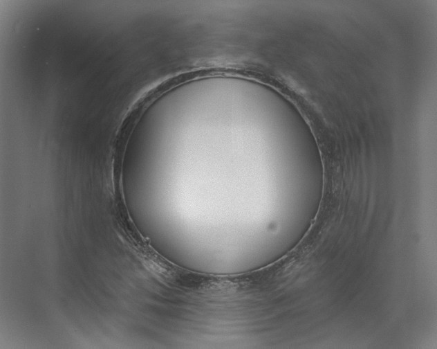 X0000073951214200609111641