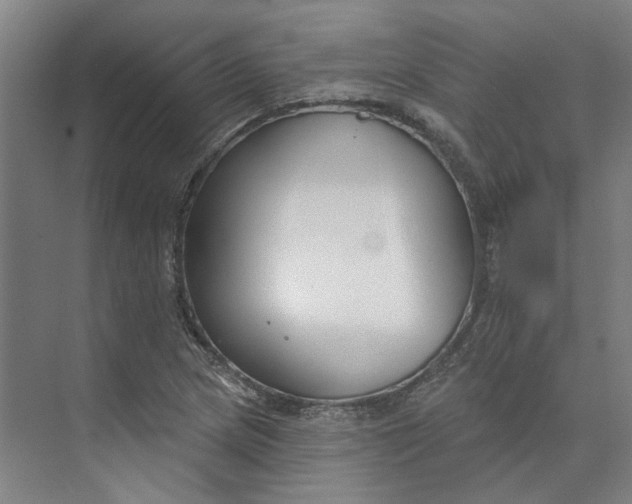 X0000073951217200609111641