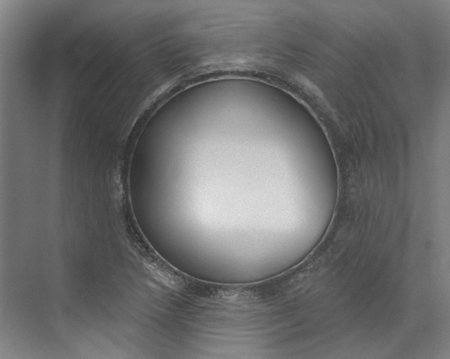 X0000073951218200609111641