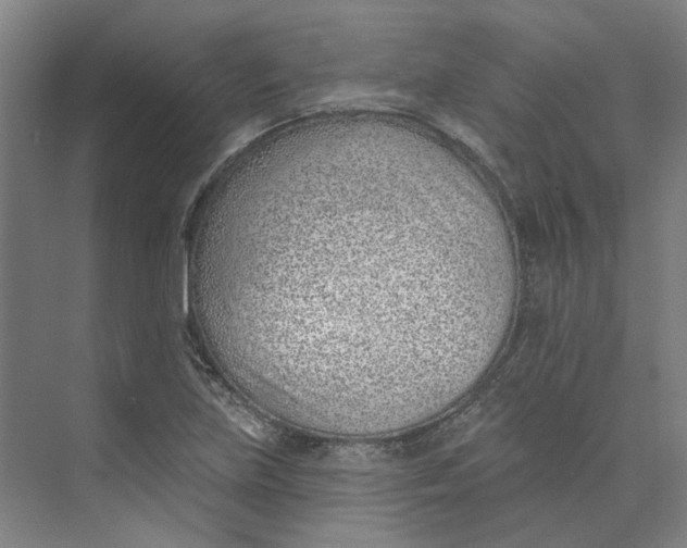 X0000073951219200609111641