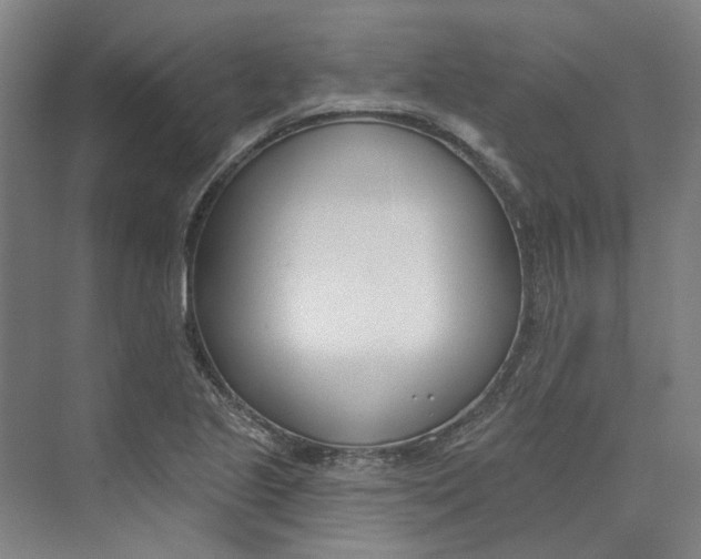 X0000073951221200609111641