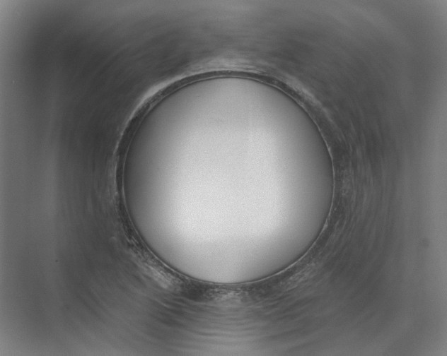 X0000073951222200609111641