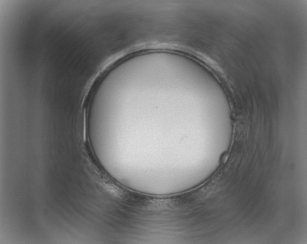 X0000073951223200609111641