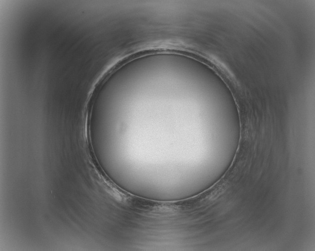 X0000073951224200609111641