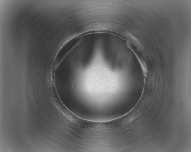 X0000073951226200609111641