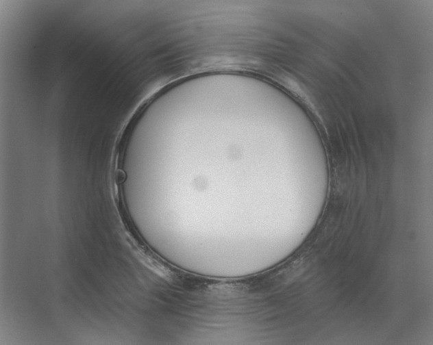 X0000073951227200609111642