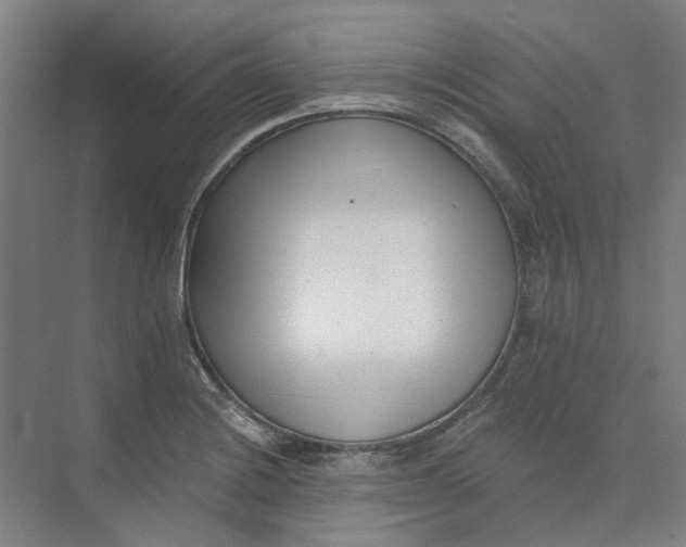 X0000073951228200609111642