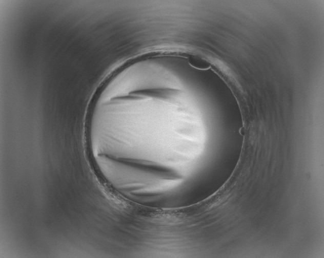 X0000073951229200609111642