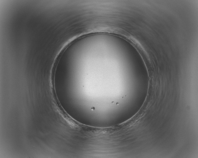 X0000073951230200609111642