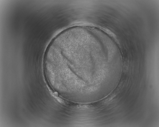 X0000073951231200609111642